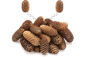 Lescli 24 Pcs Natural Pine Cone Kit with Brown Iron Wires for DIY, 5.5-8cm Big Spruce Pine Cones - Rustic Pinecones Decor for