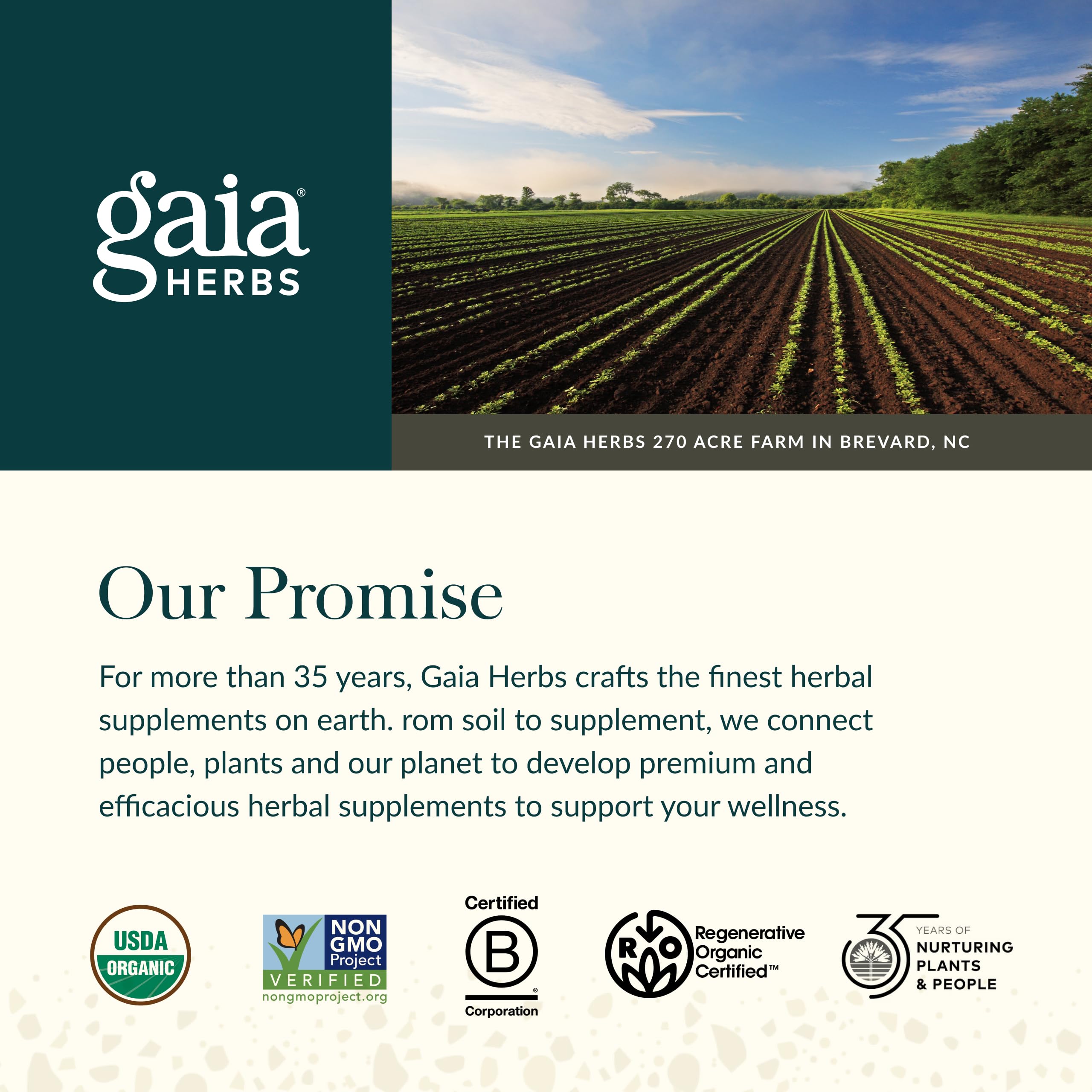 Gaia Herbs Lion’s Mane Mushroom - Brain & Nerve Health Support - 40 Vegan Capsules