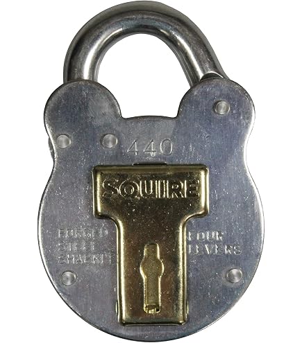 Burg-Wächter Hangslot 800 Alpha – 11 Mm Beugel, Ultrahard Staal, Boor- En Knipbeveiligd, Roestvrij, Incl. 2 Sleutels