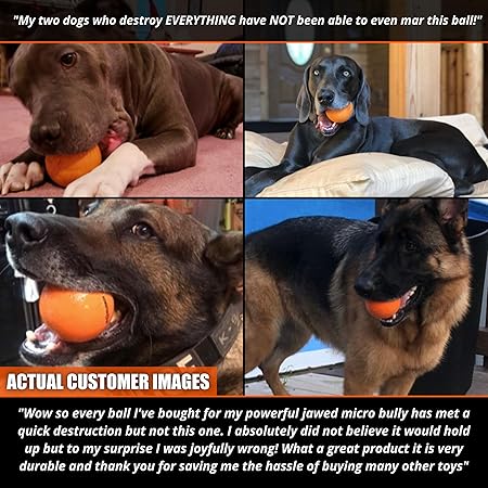 my dog destroys every toy