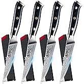 KYOKU Gin Series Steak Knife Set of 4, 4.5" Steak Knives, Japanese VG10 Damascus Stainless Steel Kitchen Knife Set with Silver Ion Blades G10 Handles Mosaic Pins, Cutlery Set w/Sheaths & Case