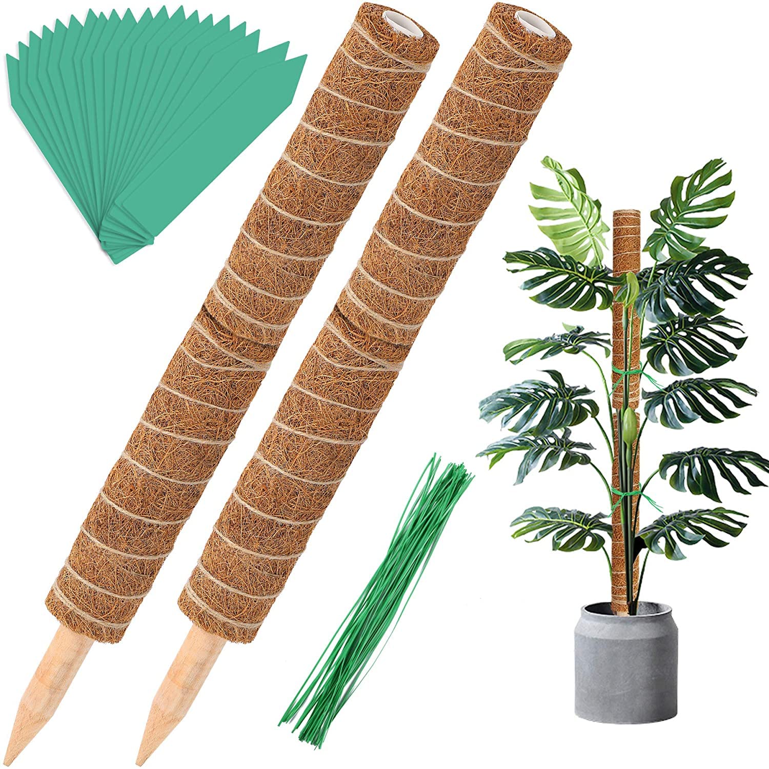 Moss Poles - 4 Pcs 12 Inches Coir Totem Poles Monstera Plant Stakes for Indoor Creepers Plant Support Extension — image 1