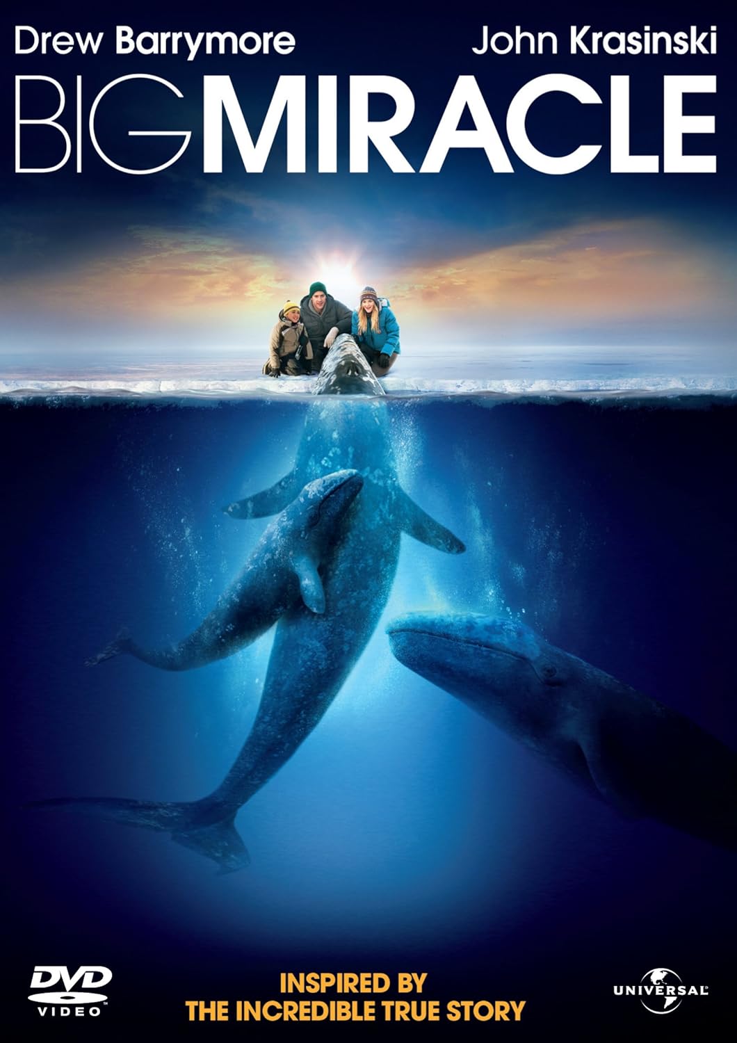 Big Miracle [DVD] Amazon.co.uk Drew Barrymore, Dermot Mulroney, Kristen Bell, Ted Danson, John