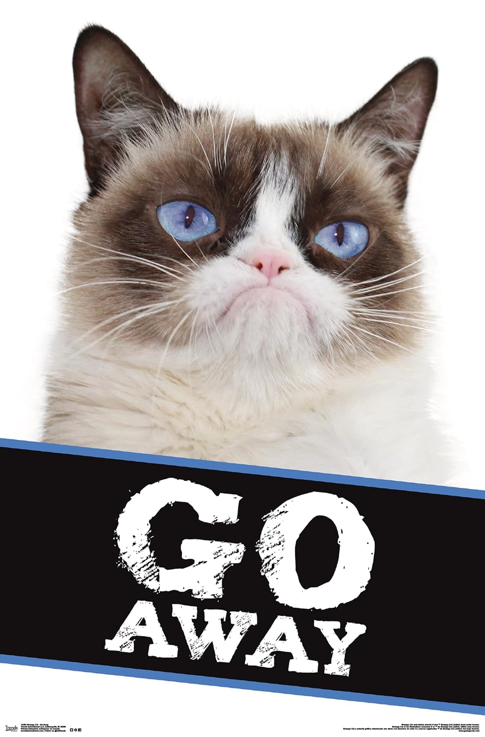 Trends International RP14303 Grumpy Cat Go Away Wall Décor, 22.375"x 34