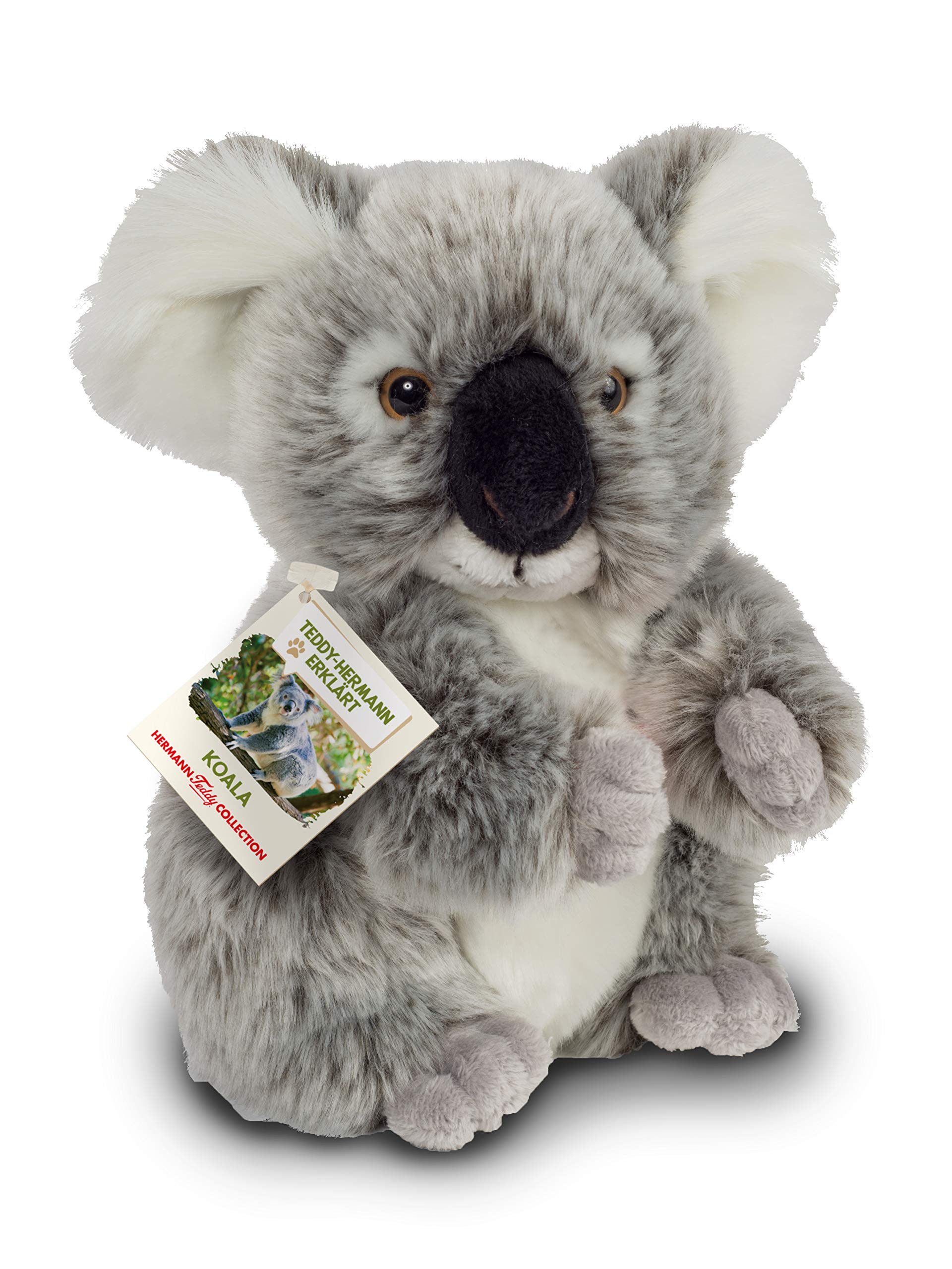 Teddy Hermann 91424 Koala Bear 21 cm, cuddly toy with 75% recycled filling material, special edition "Teddy Hermann explained"