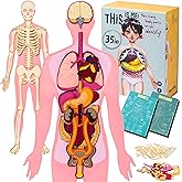 NUHICO This is Me! Human Body Model for Kids – Extra Large Felt Anatomy Set with 30 Detachable Organs & Bones – Montessori Organ Match for Homeschool Anatomy, Classroom Science & Educational Gift