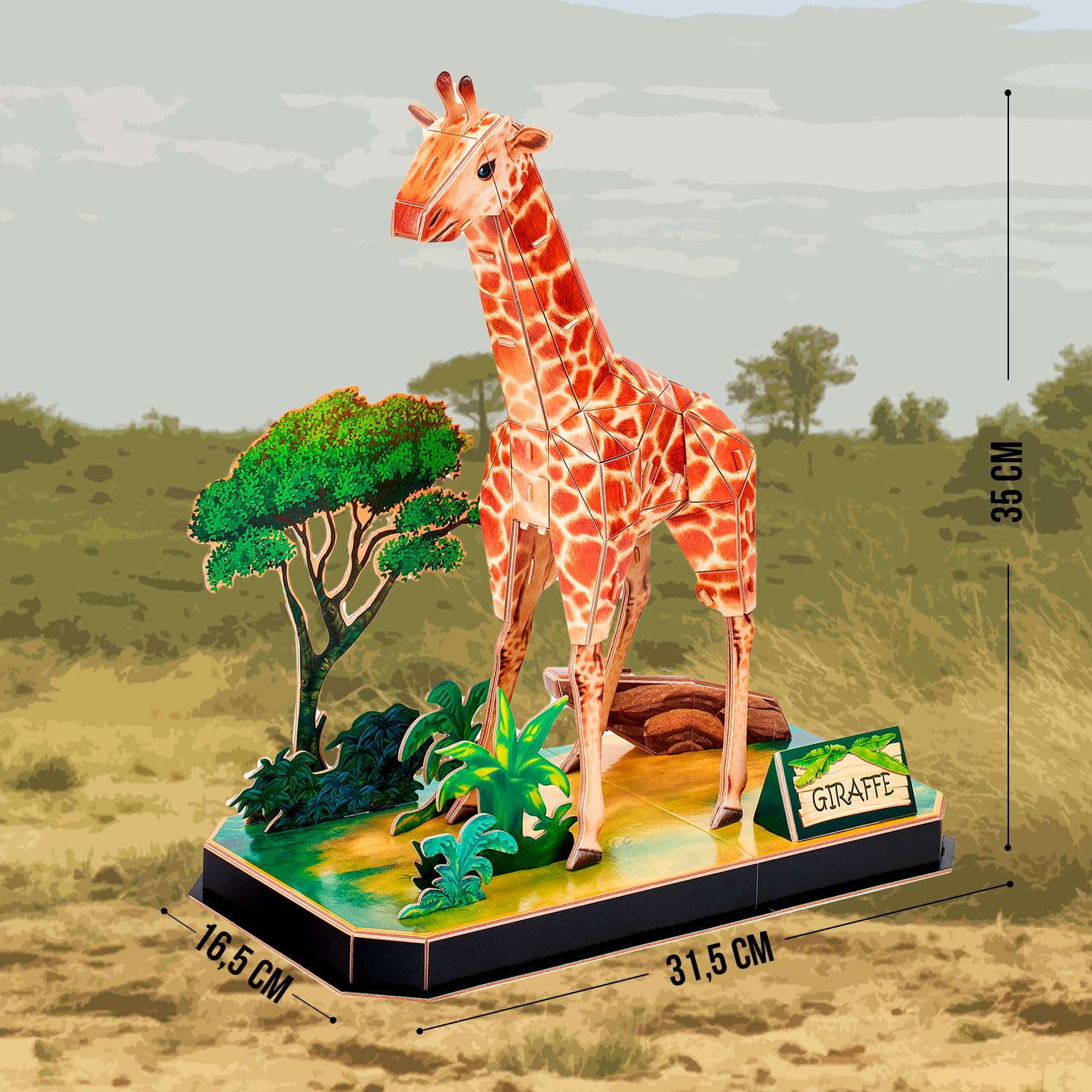 View 2