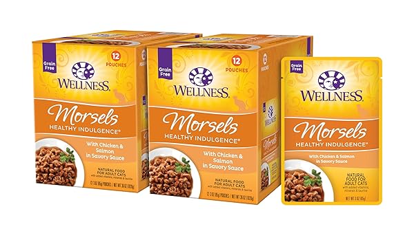 WELLNESS HEALTHLY INDULGENCE MORSELS ADULT WET CAT FOOD, NATURAL, PROTEIN-RICH, GRAIN FREE, 3 OUNCE POUCH, 24 PACK, (CHICKEN & SALMON)