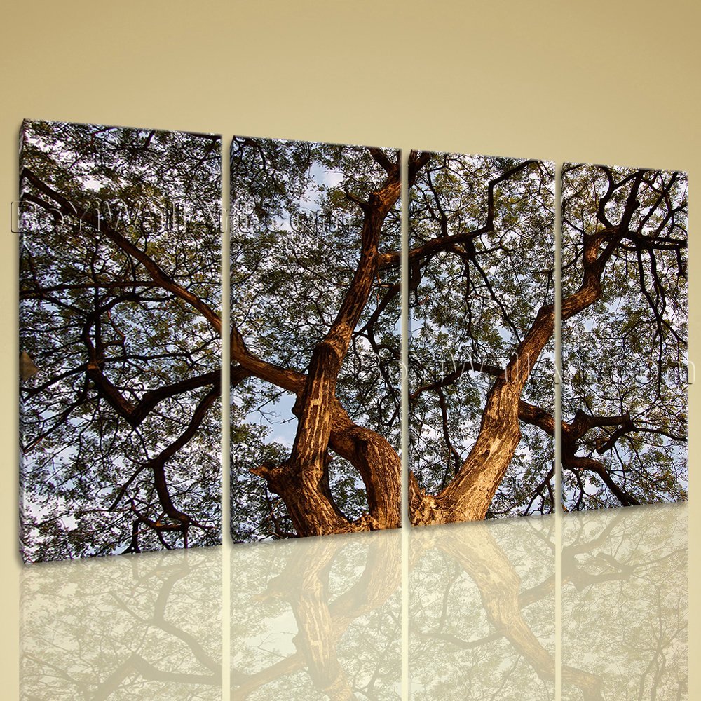 Amazon.com: Extra Large Spreading Tree Floral Contemporary Wall Art