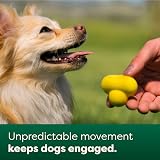 Earth Rated Dog Ball Interactive Fetch Toy Small Yellow 2-3 in view 4