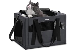 Pecute Cat Carrier Dog Carrier with Stable Structure, Breathable Mesh Fabric Pet Carrier for for Small Cats Dogs Puppies up t