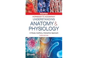 Workbook to Accompany Understanding Anatomy & Physiology A Visual, Auditory, Interactive Approach