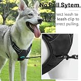 Belababy Dog Harness No Pull Reflective Front Clip Adjustable Black M view 4