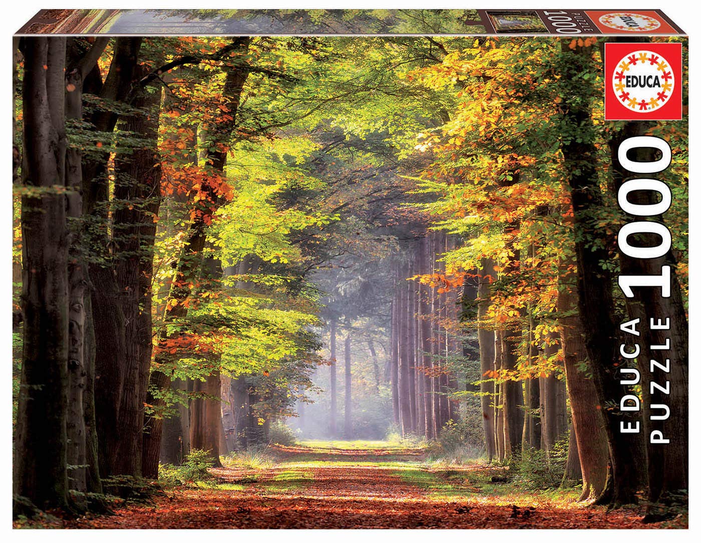 Educa Paseo Otonal Autumn Walk. Puzzle of 1000 Pieces. Ref. 19021, Assorted
