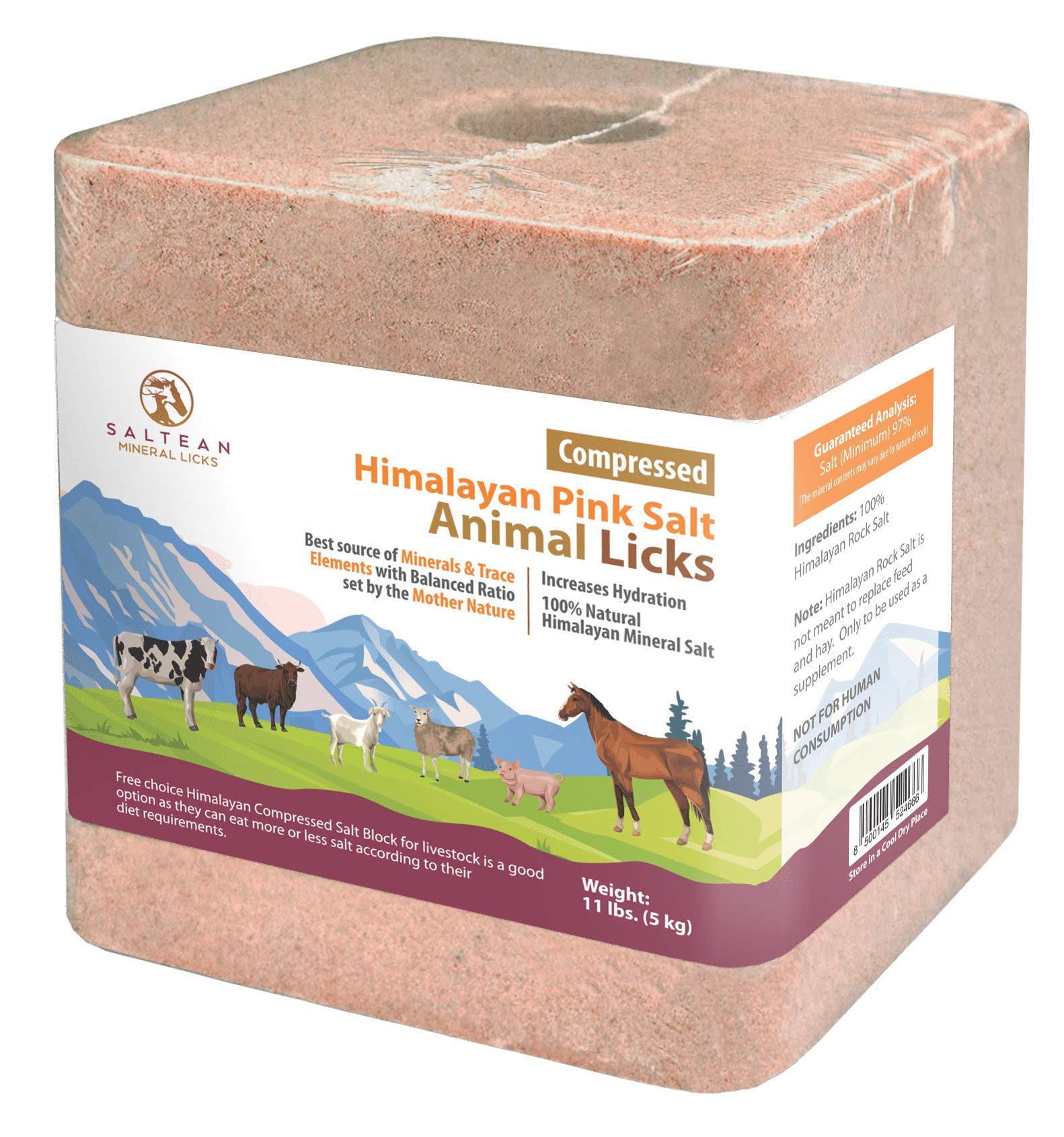 SALTEAN Compressed Himalayan Horses Lick Natural Pink Salt, with strong hanging Rope, No Starch Suitable for all Animals(5 kg) "Salt Range Pakistan"