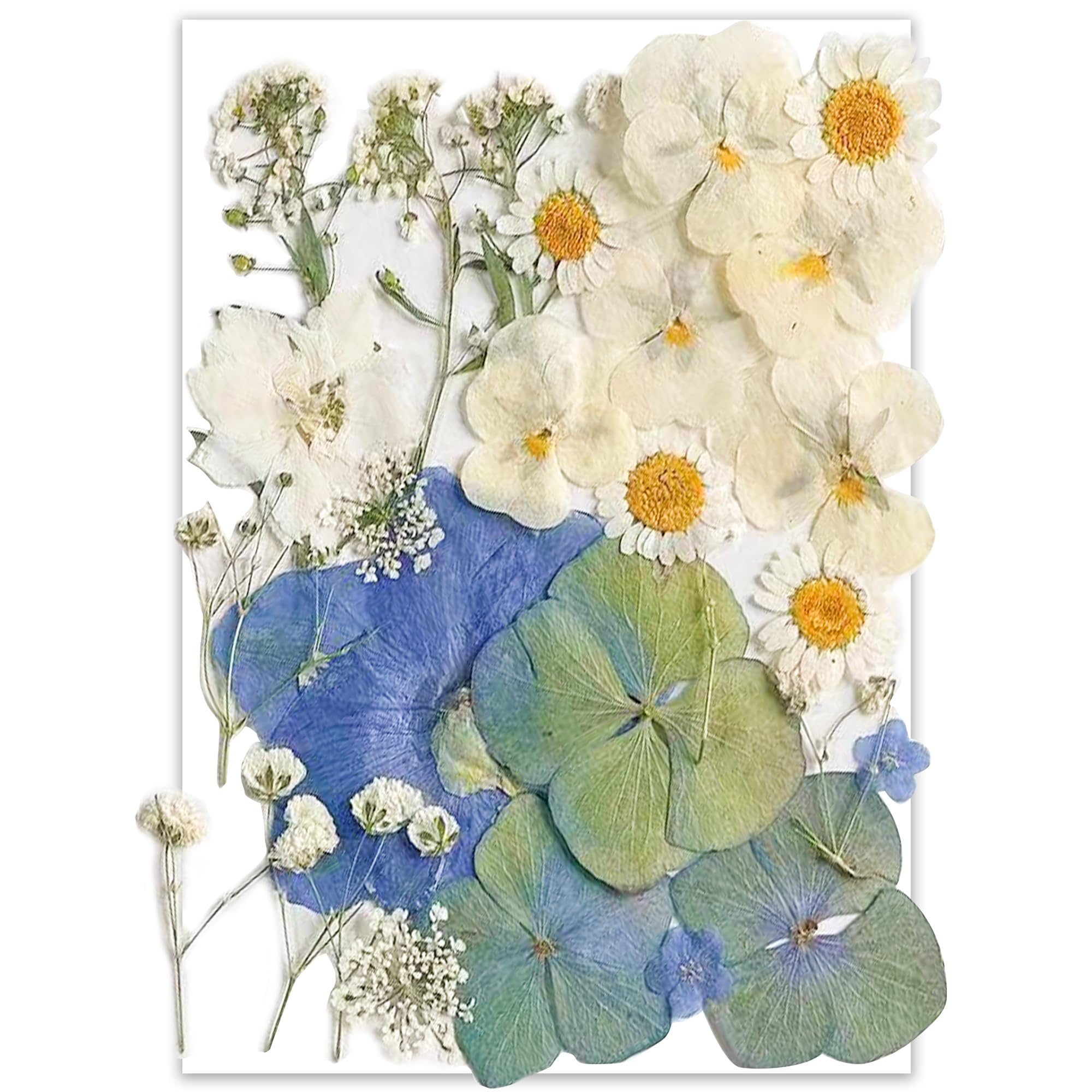 26pcs Dried Pressed Flowers for Resin Molds,YoothBro Real Natural Pressed Flowers for DIY Art Crafts,Candle Making, Nails Décor,Soap Making, Phone Case