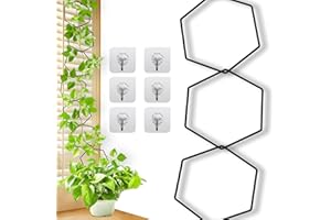 BKALEME Trellis for Climbing Plants Indoor & Outdoor, Pothos Plant Climber Support with Connect-Hooks,18pcs DIY House Plant Accessories for Ivy Hoya Pothos Flower,Garden Plant Wall Trellis Gift - Hexagons