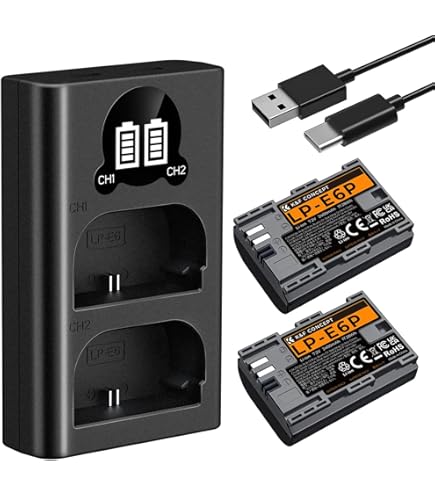 Amazon.com : Canon Battery Pack LP-E6P : Electronics