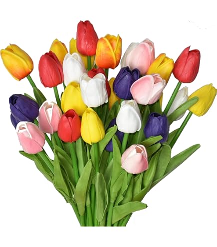 Amazon.com: Fox Valley Traders Miles Kimball Varying Colors Set of