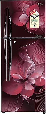 LG 260 L 3 Star Frost Free Double Door Refrigerator(GL-T292RSDU.ASDZEBN, Scarlet Dazzle, Inverter Compressor)