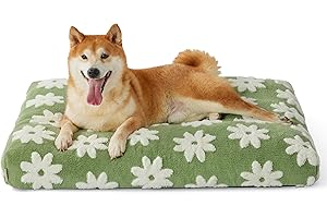LE SURE Dog Beds Large Sized-Thick Shredded Chopped Foam Pet Bed Indoor with Removable Cover, Cute Modern Fuzzy Plush & Anti Slip Bottom, Green