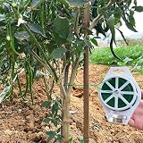 Tenn Well 100m Green Garden Wire Flexible Plant Tie Cutter Included view 6