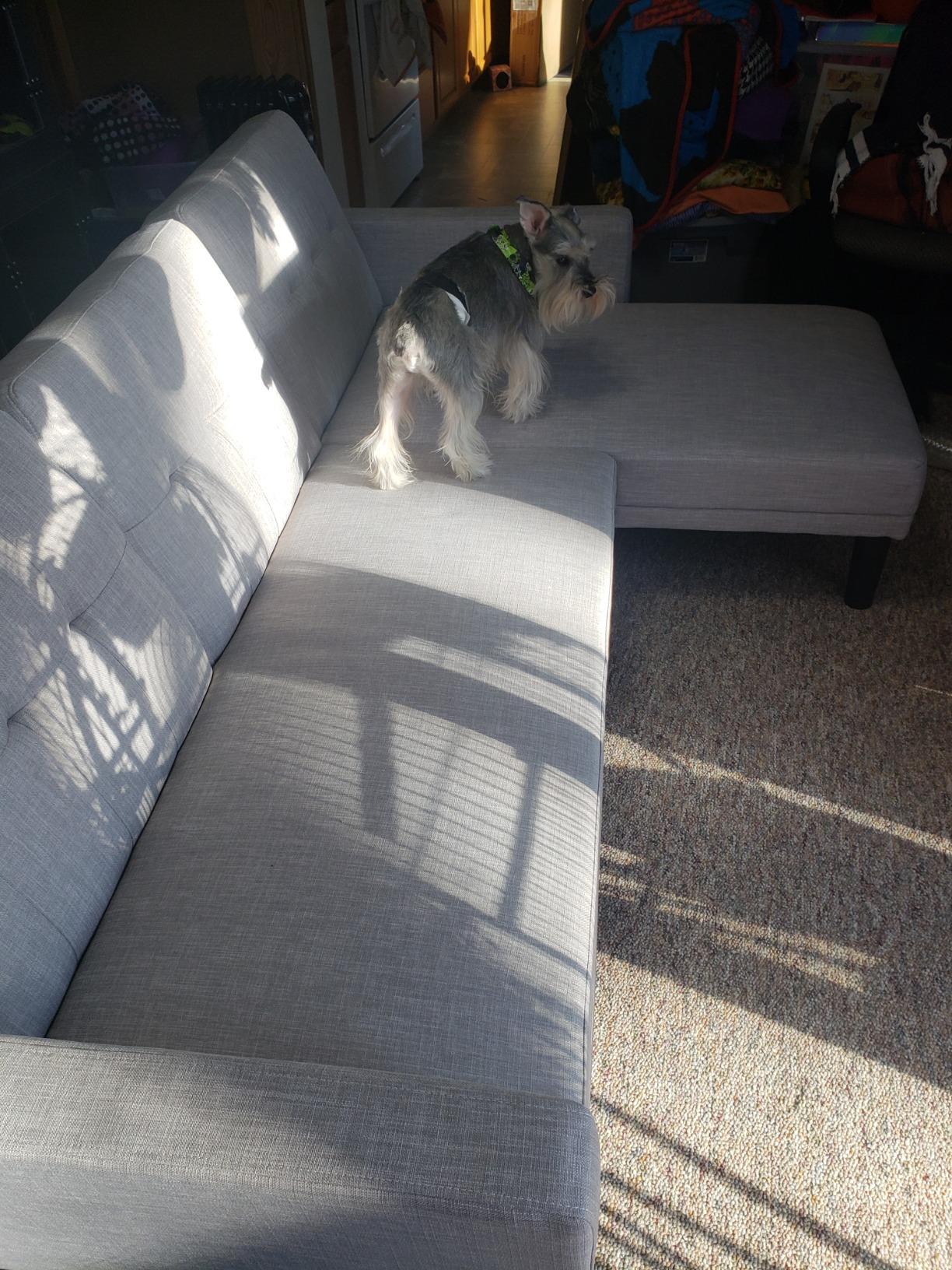 54/mo Finance DHP Haven Small Space Sectional Futon Sofa, Blue Linen Buy Now, Pay Later