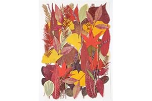 ZMRU Large Bulk Fall Dried Pressed Leaves for Craft, Real Dry Natural Flower Leaf Daisy for Resin Mold, Cake Decor, Phone Cases (Autumn Leaves)