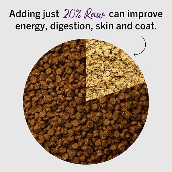 STELLA & CHEWY’S FREEZE-DRIED RAW CAT DINNER MORSELS – PREMIUM RABBIT RECIPE WITH 98% RESPONSIBLY-SOURCED MEAT & ORGANS – NATURAL GRAIN-FREE CAT & KITTEN FOOD – MADE IN USA – 8 OZ