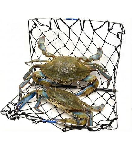 thumbnail interactive-video image 1 of KUFA Casting Crab Trap With 100' Rope - Stainless Steel, Model CR55 1 of 2