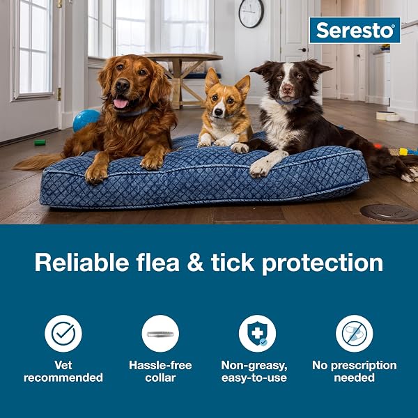 SERESTO SMALL DOG VET-RECOMMENDED FLEA & TICK TREATMENT & PREVENTION COLLAR FOR DOGS UNDER 18 LBS. | 2 PACK