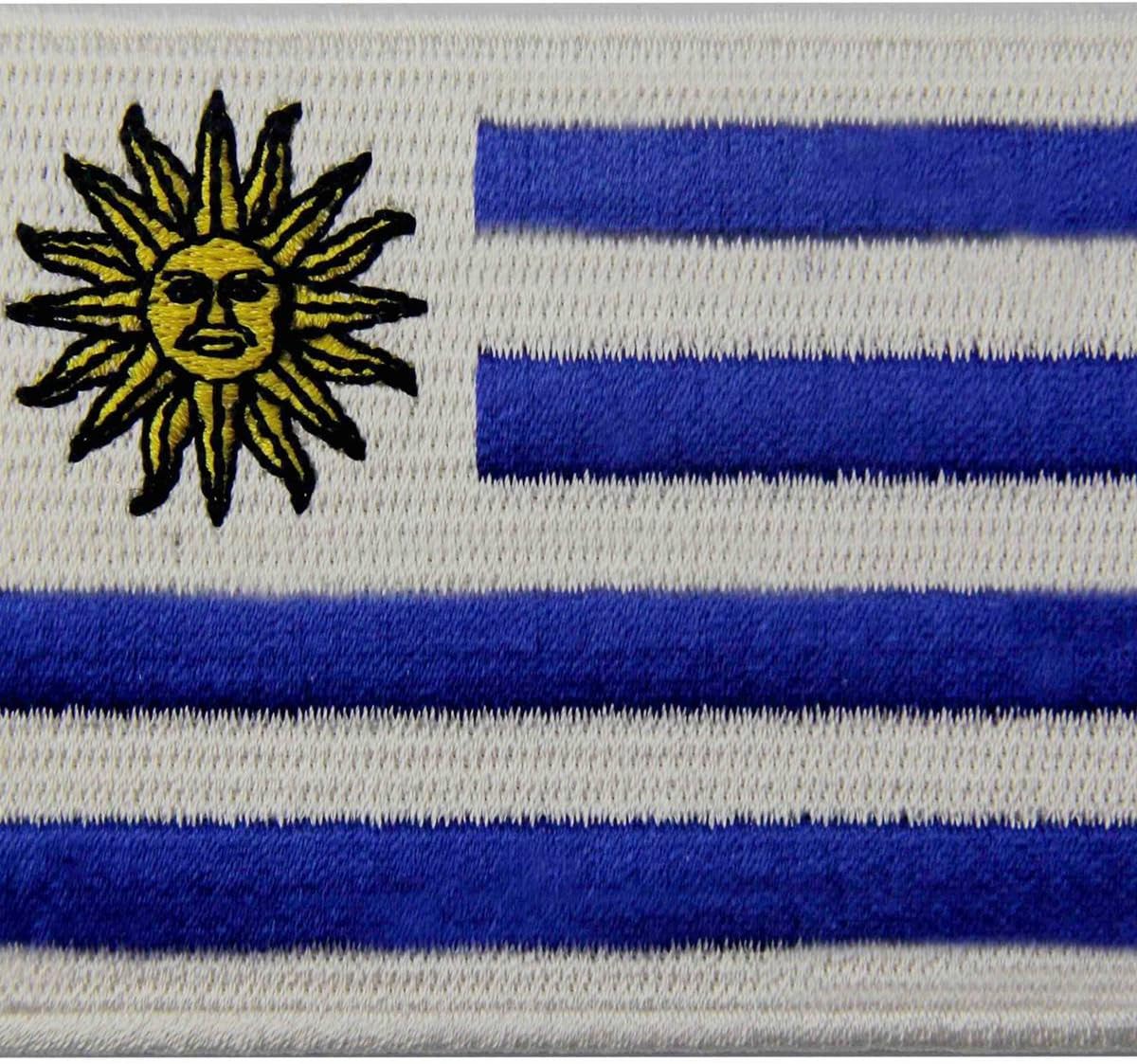 Шевроны стран. Нашивка днр новороссия. Нашивка флаг. Нашивки на одежду флаги. Нашивка ингерманландия.