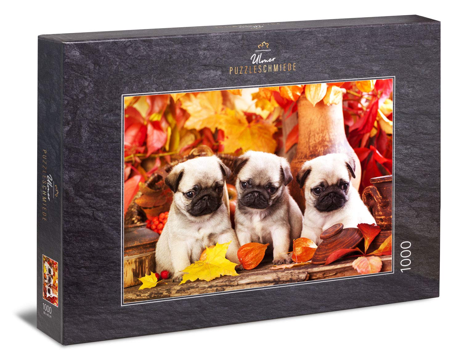Ulmer Puzzleschmiede - Puzzle "Lovely puppies": 1000 pieces jigsaw puzzle - Cute animal baby picture of three cute pug puppies for dog lovers
