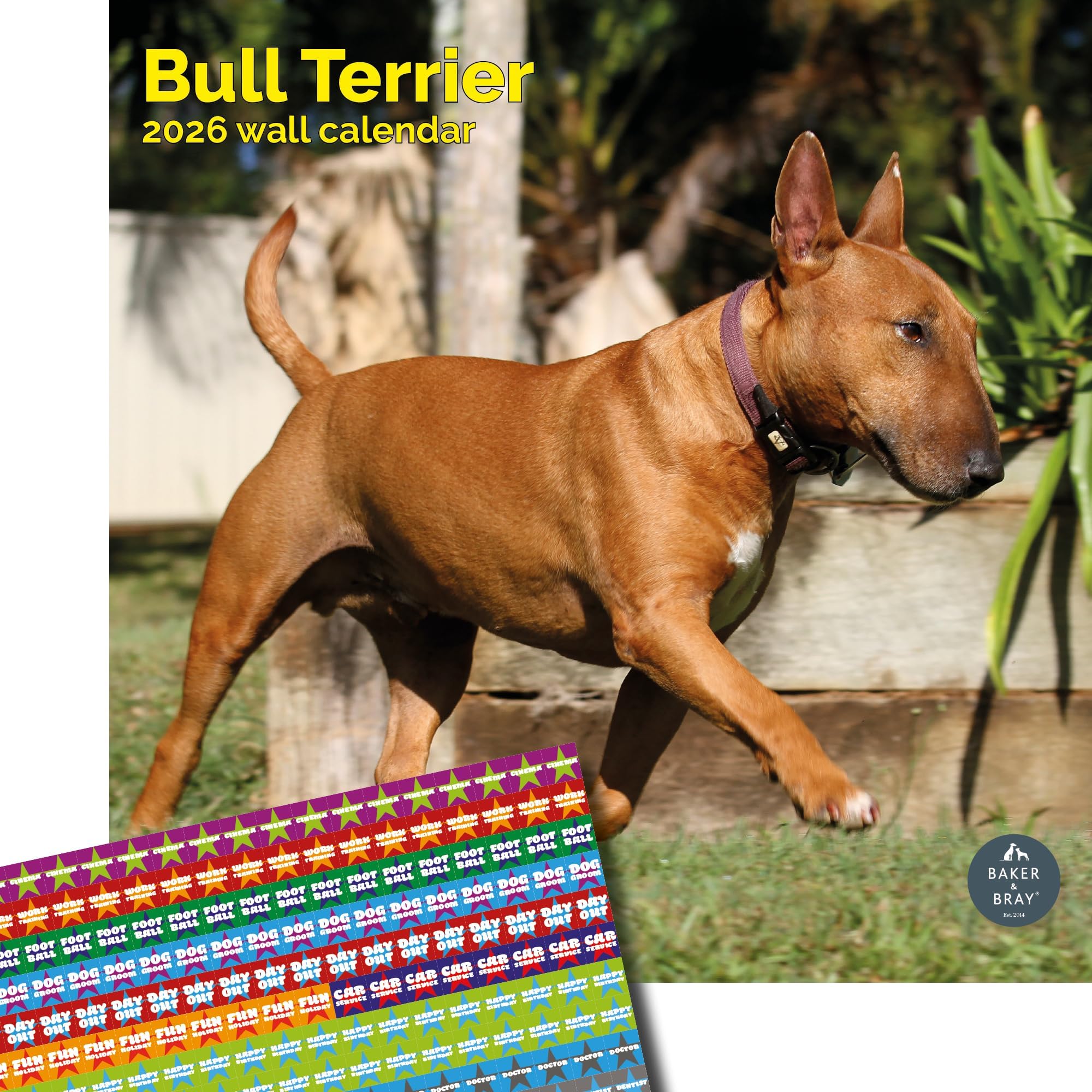 Baker and Bray Bull Terrier Calendar 2026, Large Square Wall Calendar With Organisational Stickers, 16 Month, Bull Terrier Gift Dog Calendar