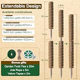 LANNEY Moss Pole 47.5 Inch 120cm 4 Pack Coir ToTem Poles for Climbing Plants view 5