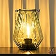 Battery Operated Lamp Hanging,Cordless LED Table Lamp with Timer, Decorative Lantern Lights Outdoor Indoor Decor for Patio/Home/Hallway/Deck/Spareroom/Bedroom/Tabletop/Fireplace/Vintage Style (LGreen)
