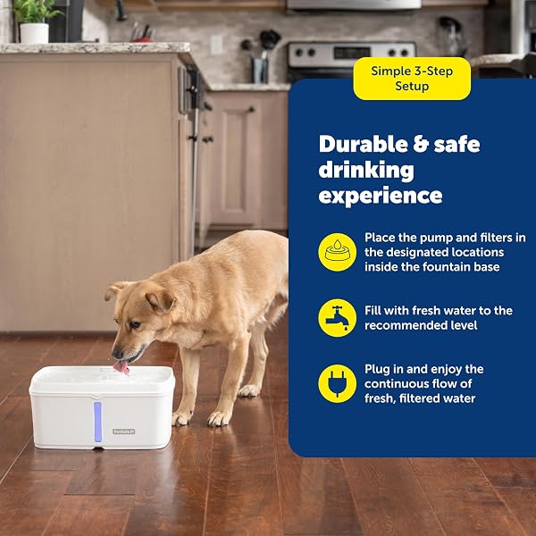 PETSAFE VIVA PET FOUNTAIN FOR CATS AND DOGS 4.1L/140 OZ, INDOOR CAT WATER FOUNTAIN WITH ULTRA QUIET PUMP, DISHWASHER SAFE, EASY TO CLEAN, WATER FILTERS INCLUDED