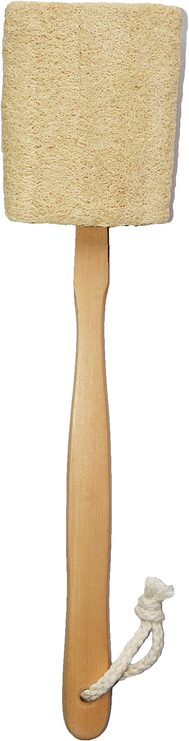 How To Use A Loofah On A Stick at Robert Jacoby blog