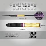 Red Dragon Professional Brass Darts Set with Flights and Shafts Snakebite view 4