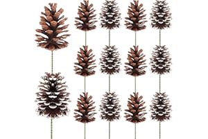 Fangoo 12Pcs 3.1-4.7in Large Natural Pine Cone Picks Snow Christmas Pine Cones with Stems for Crafts Holiday Wreath Garland Party Ornaments Flower Arrangement Fall Thanksgiving Decor (Natural White)