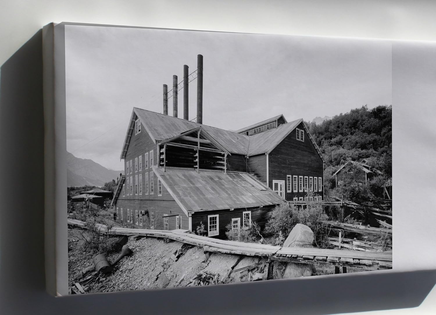 Amazon Com Canvas 24x36 25 Power Plant Looking Northeast
