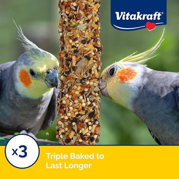 VITAKRAFT CRUNCH STICKS COCKATIEL TREATS GOLDEN HONEY FLAVOR – TRIPLE-BAKED SNACK WITH VITAMINS A D3 E RIBOFLAVIN AND B12 – NATURAL WOOD CHEW CENTER AND CAGE CLIP HOLDER – ENGAGING 2 STICK PACK