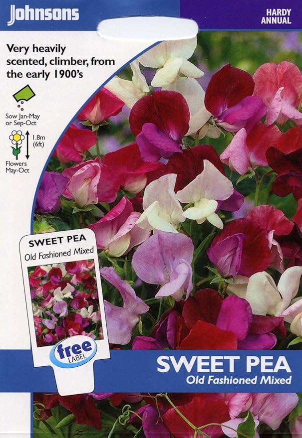 Johnsons Seeds Pictorial Pack Flower Sweet Pea Old Fashioned