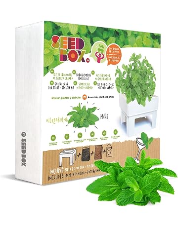Amazon.es: Kits de cultivo en casa: Jardín