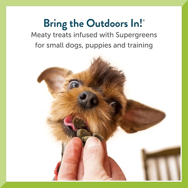 PET GREENS TREATS ROASTED CHICKEN SEMI-MOIST DOG TREAT ORANGE 6 OUNCE (PACK OF 1)