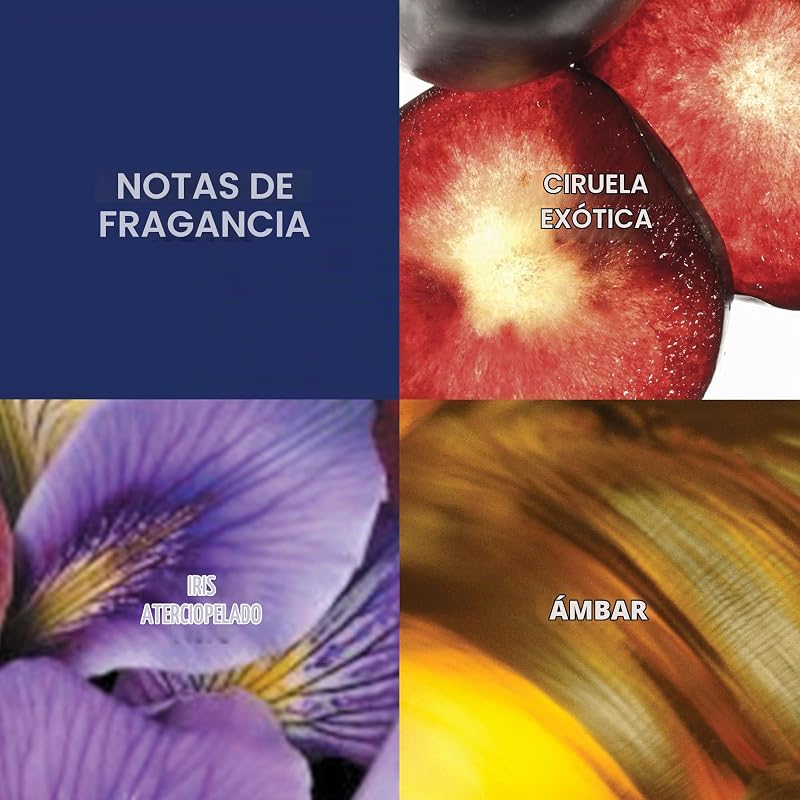 Midnight Fantasy Set, EDP 50 ml y Bruma Corporal 236 ml