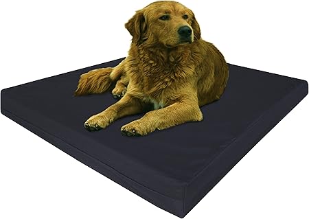 thick dog beds