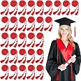 Rcanedny 15-Piece Graduation Honor Cords With Tassels - Red & White Braided Cords (67 Inches) - View #5