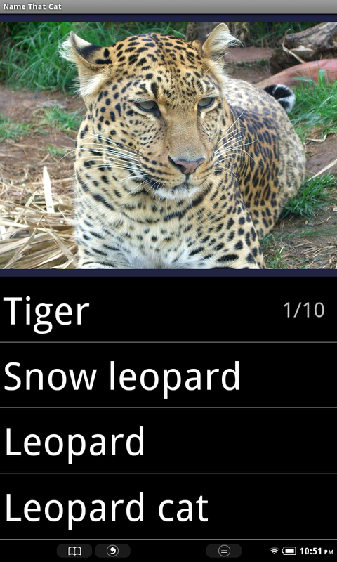 Name That Cat Breed - Thumbnail 3