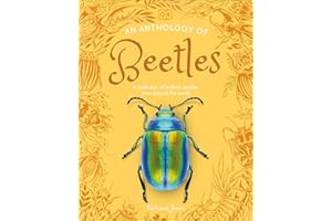 An Anthology of Beetles: A Collection of Brilliant Beetles from Around the World